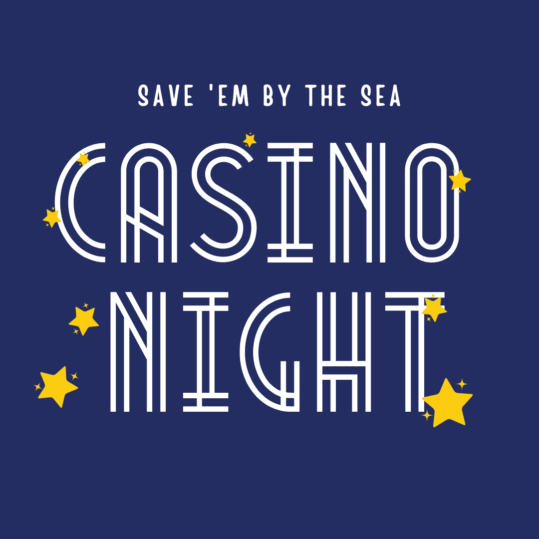 Casino Night Logo