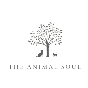 The Animal Soul Delaware Pet Cremations