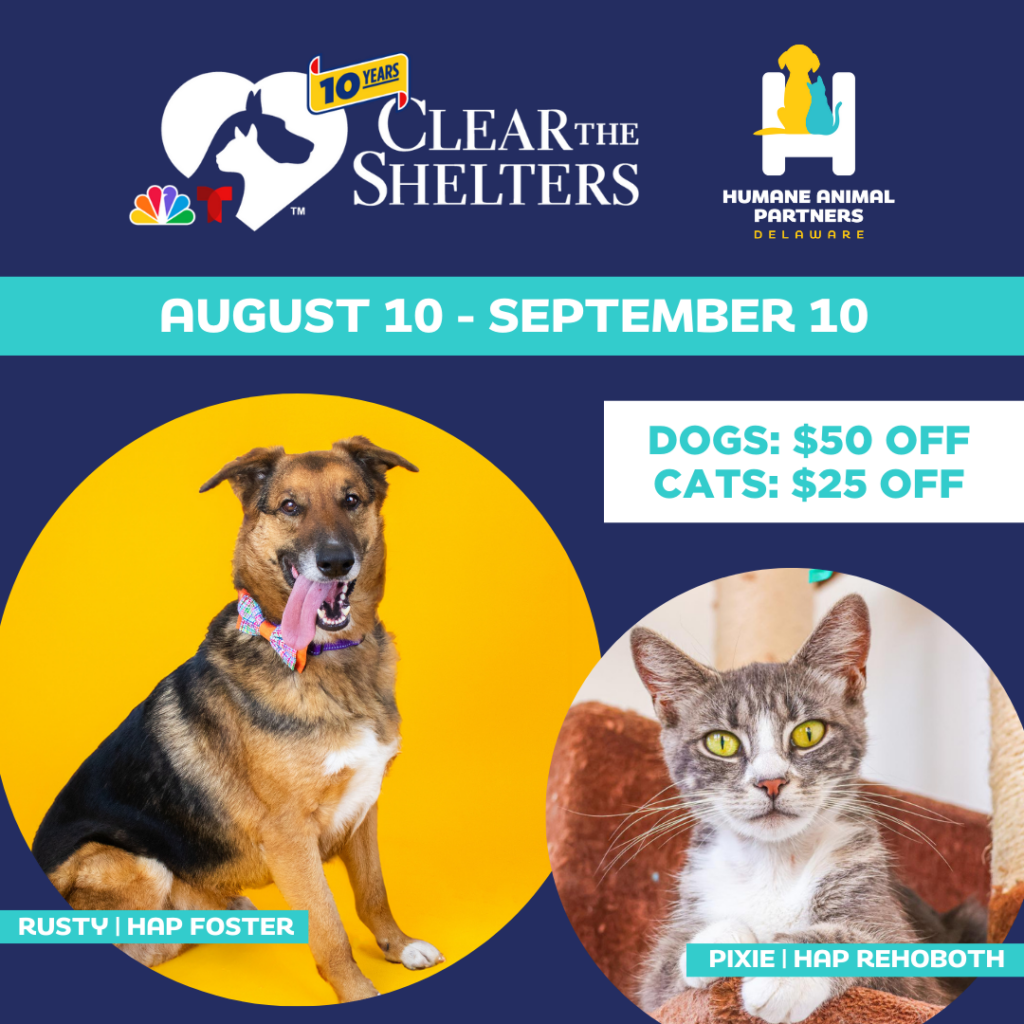 Clear the Shelters Adoption Promo at Humane Animal Partners Delaware