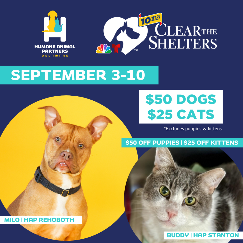 Clear the Shelters $50 Dogs $25 Cats Humane Animal Partners