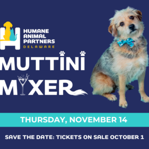 Muttini Mixer November 14 Wilmington DE