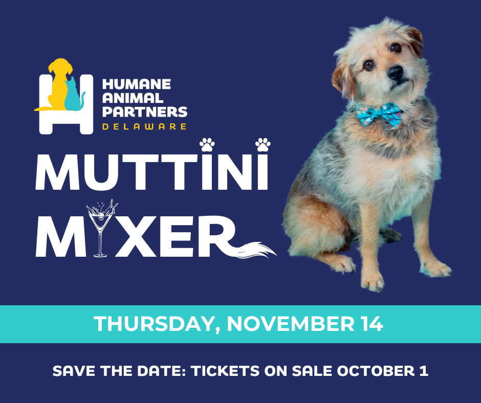 Muttini Mixer November 14 Wilmington DE