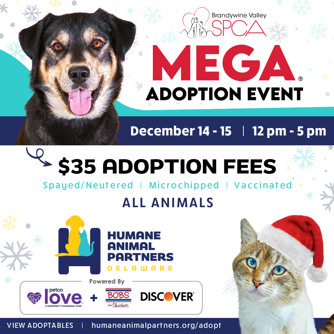 Mega Adoption Event at Humane Animal Partners