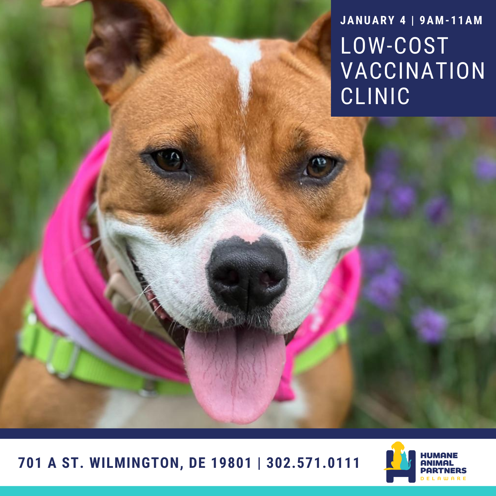 Pet Vaccine Clinic Wilmington DE January 4 2025