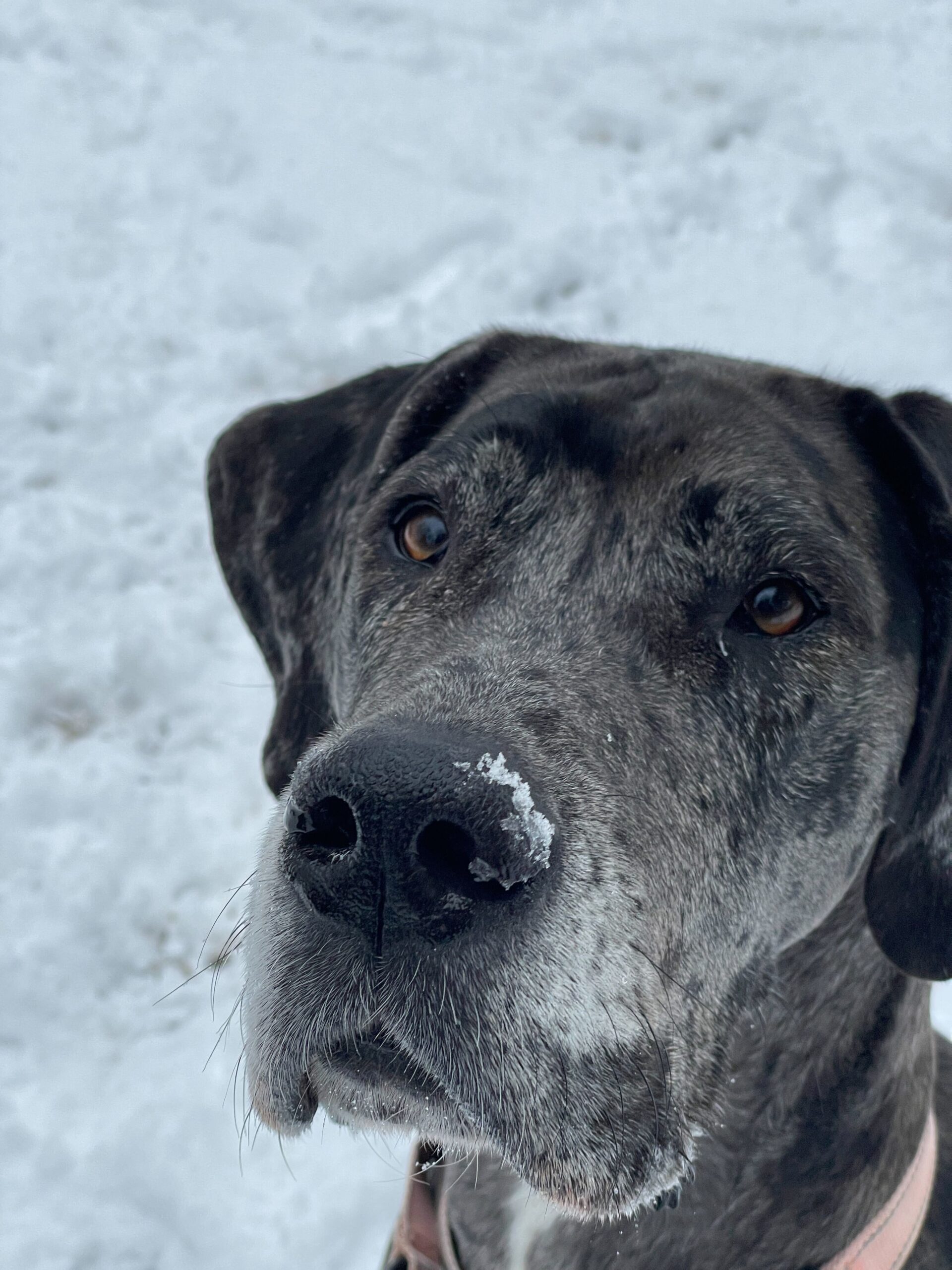 Danae on a snow day.