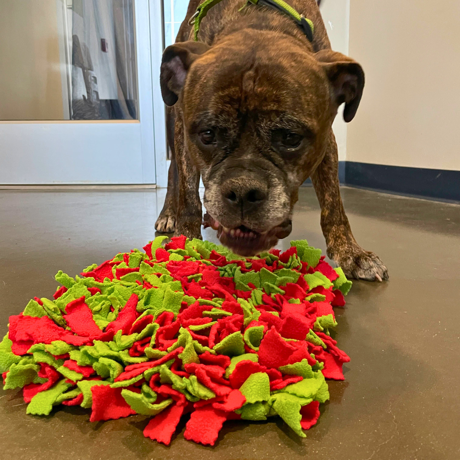 Snuffle Mat play